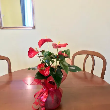 לינה וארוחת בוקר Il Tesoro רומא